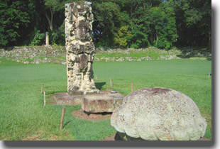 18 conejo
