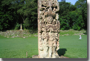 18 conejo