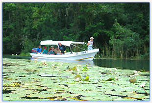 rincon escondido en el RioDulce