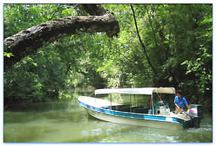 Paisajes cerca de Livingston