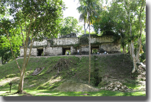 estructura