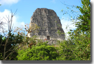 templo 3