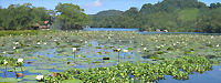 foto viaje guatemala